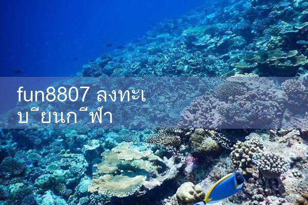fun8807 ลงทะเบียนกีฬา|play8|fun88|m88|ufabet