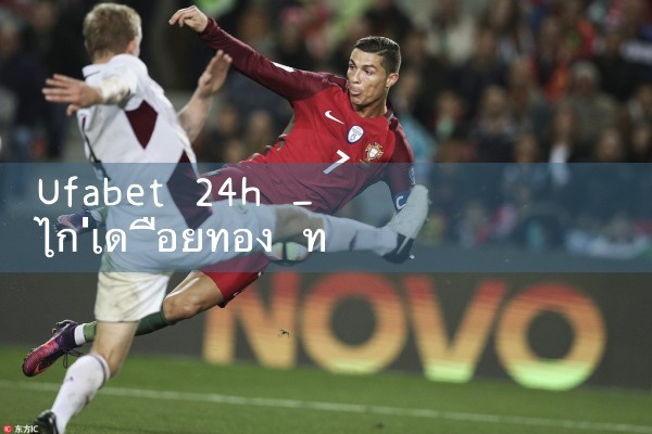 ufabet 24h|ufabet
