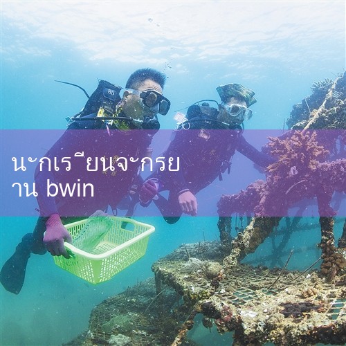 btwinz เป็นเพียงแบรนด์และการกําหนดค่าเดียวกันดูเหมือนจะมีราคาสูงกว่าผลิตภัณฑ์ของโรงงานร่วมทุนเช่น Giant และ Melida ส่วนจะเปลี่ยนเบรกจานได้หรือไม่นั้นต้องดูว่าเฟรมและดอกไม้มีรูสกรูที่สงวนไว้สําหรับเบรกจานหรือไม่ เป็นจักรยานเด็ก สังกัดบริษัท ดิ คาร์ลอน ประเทศฝรั่งเศส แผนกมุ่งเน้นไปที่การออกแบบผลิตภัณฑ์จักรยานสำหรับปีต่าง ๆ > fun88 > play8 > m88 > w88 > 8xbet