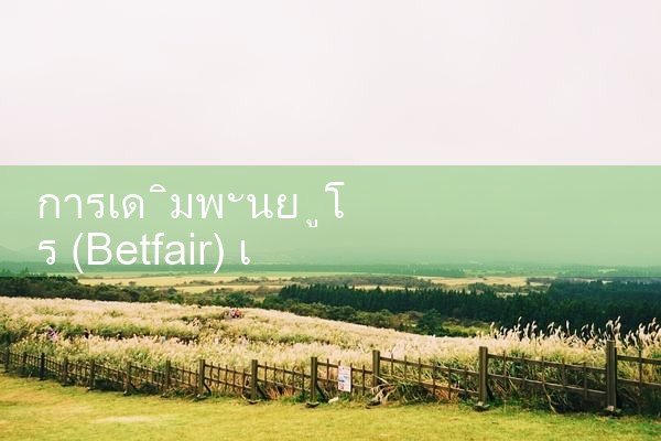 การเรียกร้องค่าสินไหมทดแทนของ betfair|Play8|fun88|Ole777