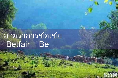 อัตราการชดเชย betfair|Play8|fun88|Ole777