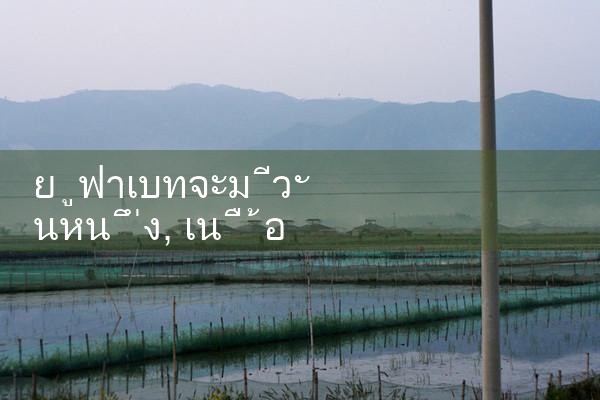 ufabet ทางเข้า ล่าสุด|ufabet