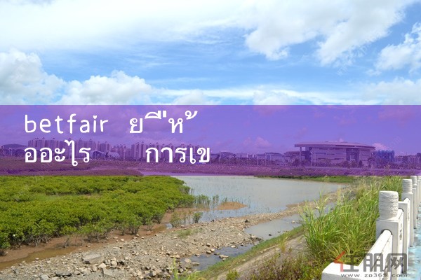 betfair ยี่ห้ออะไร|Play8|fun88|Ole777